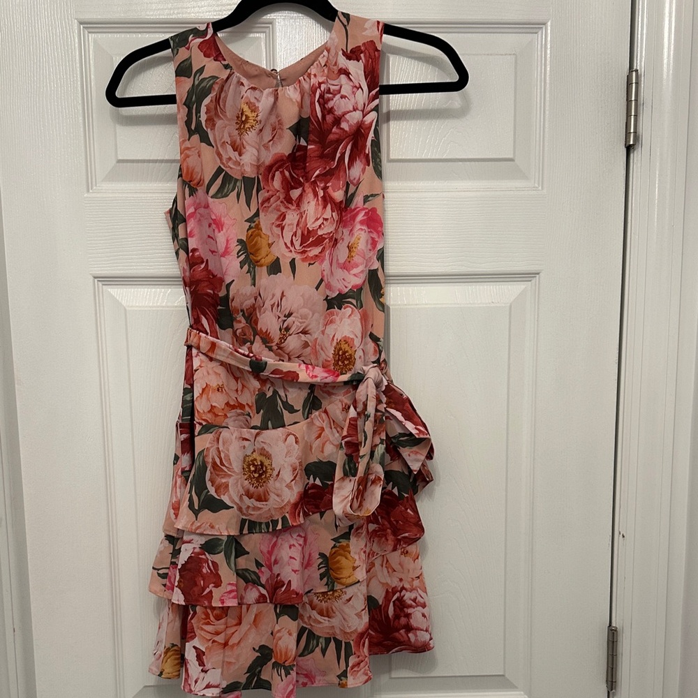 Express Pink and Burgundy Floral Dress